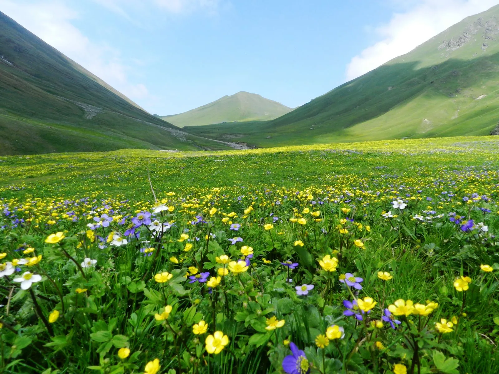 Uttarkashi mountain landscape